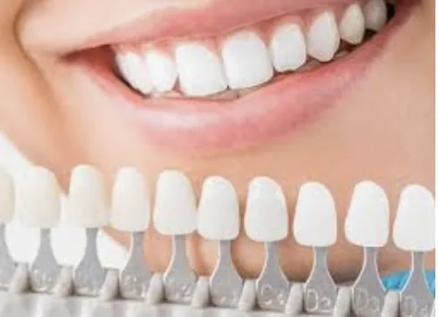 Dr. Elmira Gadol DMD photo 3