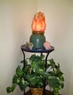 The Brand Wellness Center photo 2