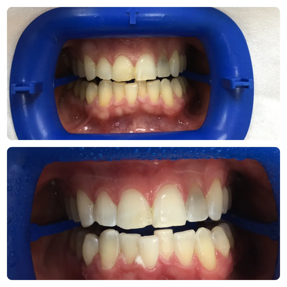 Williamsburg Dental Works photo 3