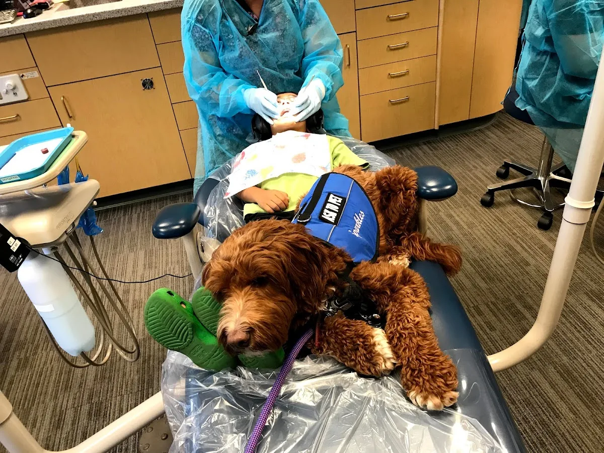Destination Smiles-Pediatric Dentistry and Orthodontics photo 1