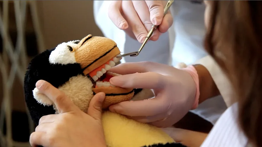 Bay Area Kids Dentistry photo 1