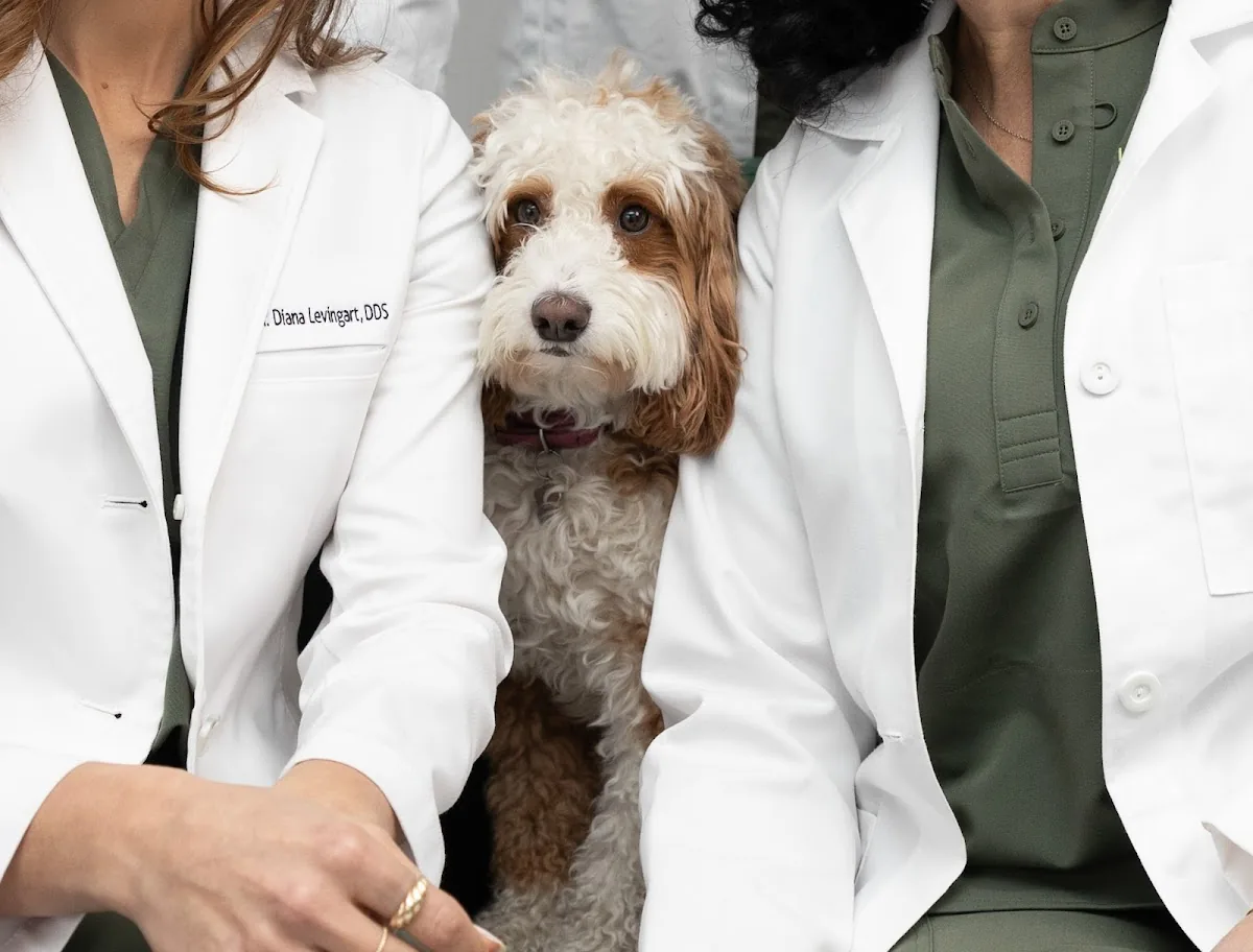 Livingart Dentistry - Brooklyn Dentist photo 4