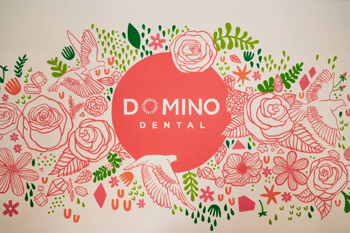 Domino Dental - Dr. Lilya Horowitz, DDS, AAACD, FAGD
