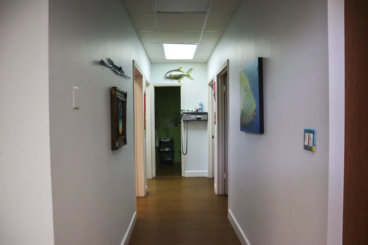 Bay Cosmetic Dentistry photo 3