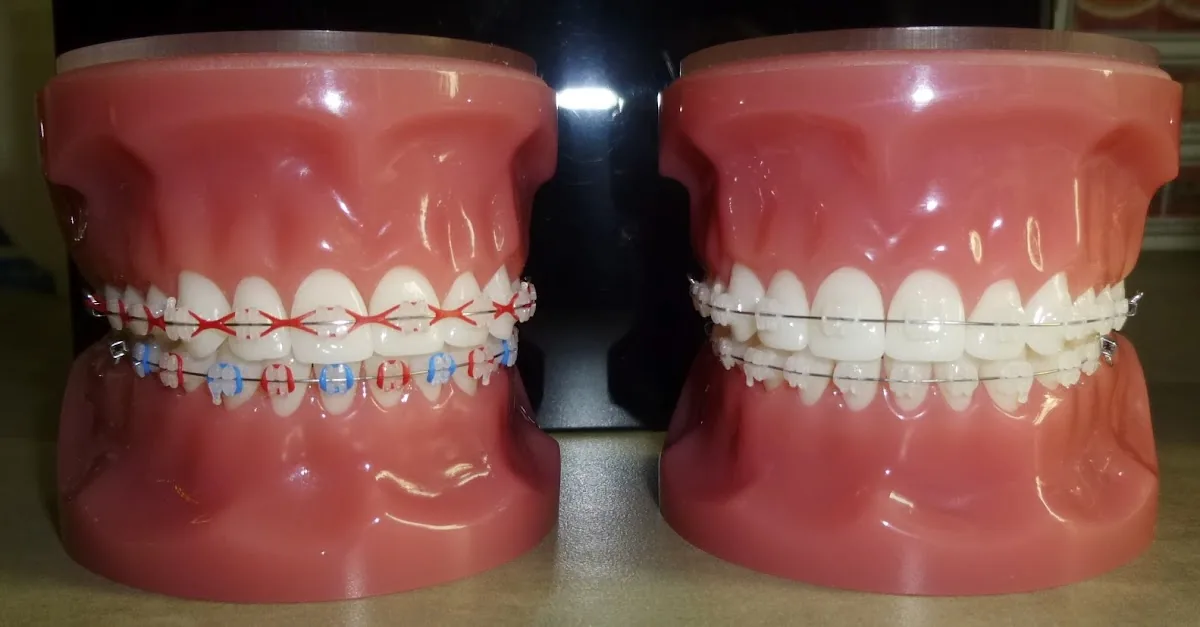 Rice Orthodontics photo 2