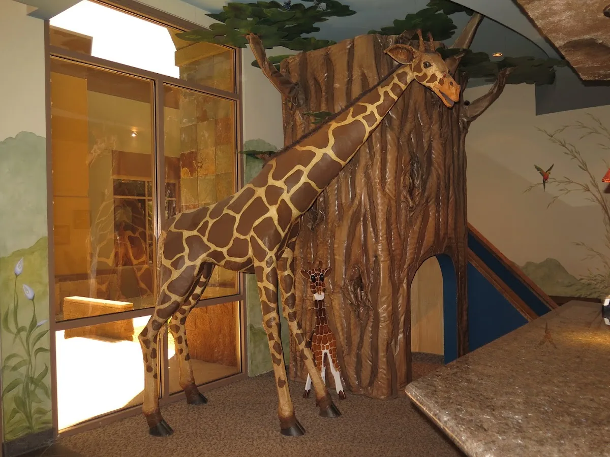 Affiliated Pediatric Dentistry & Orthodontics: Scottsdale & Shea photo 4