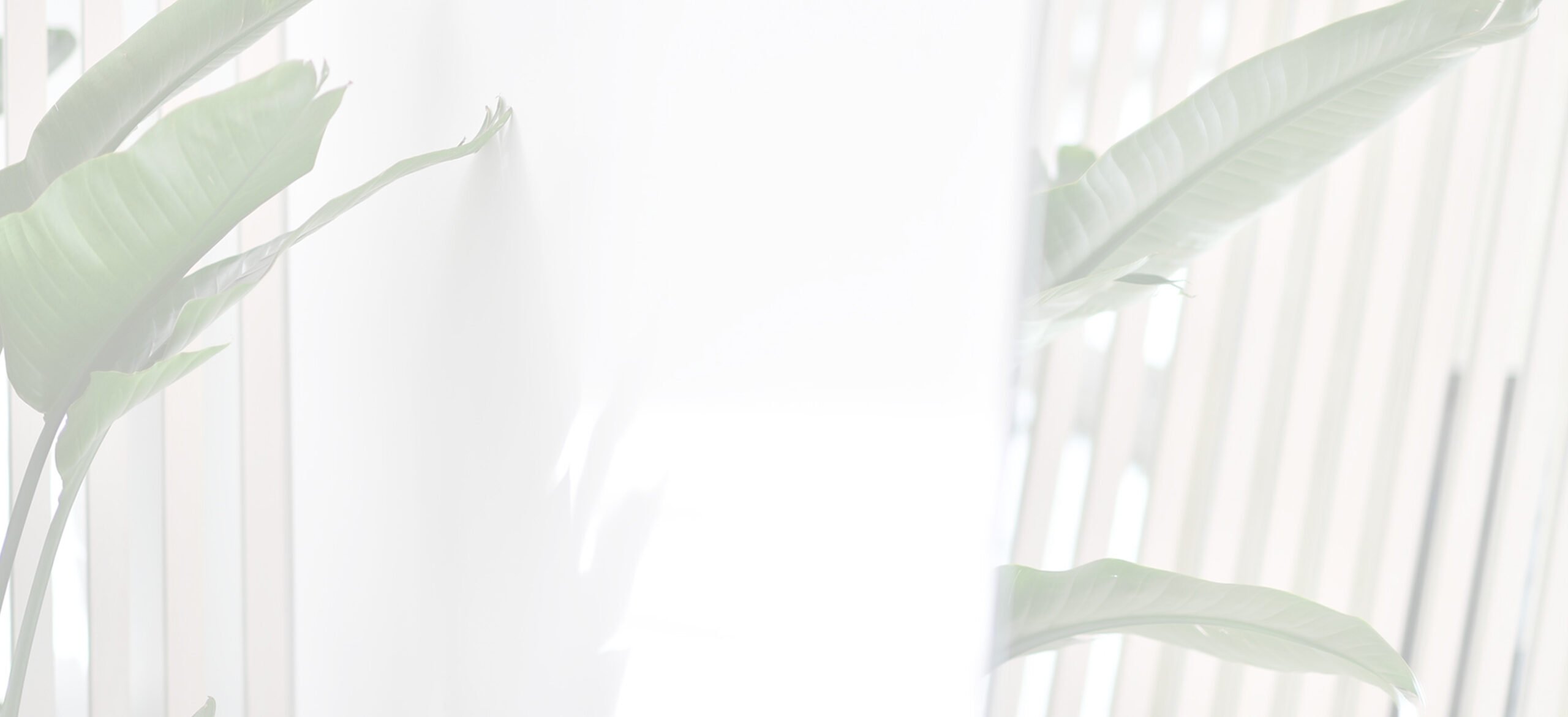 Boston Dental photo 1