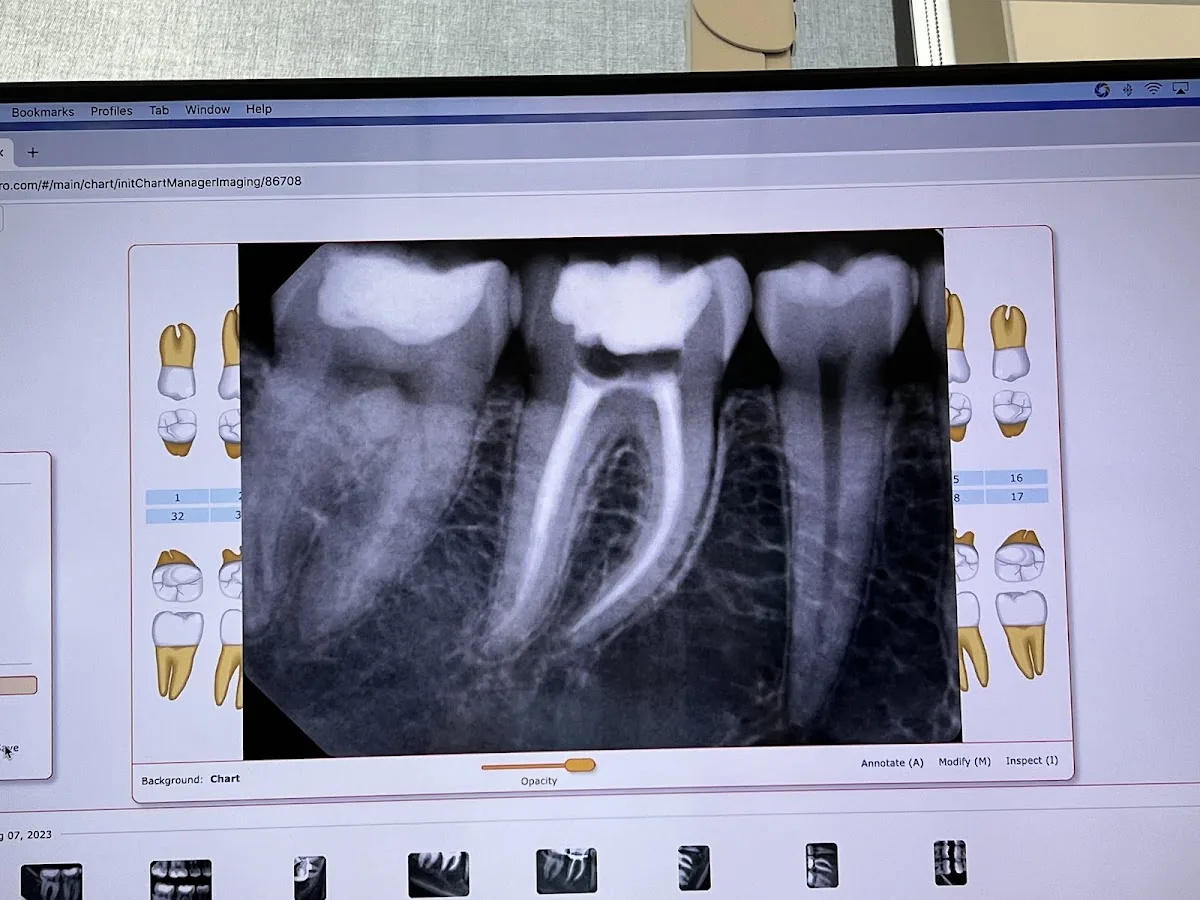Drs. Delgado & Kamaris, Endodontics photo 3