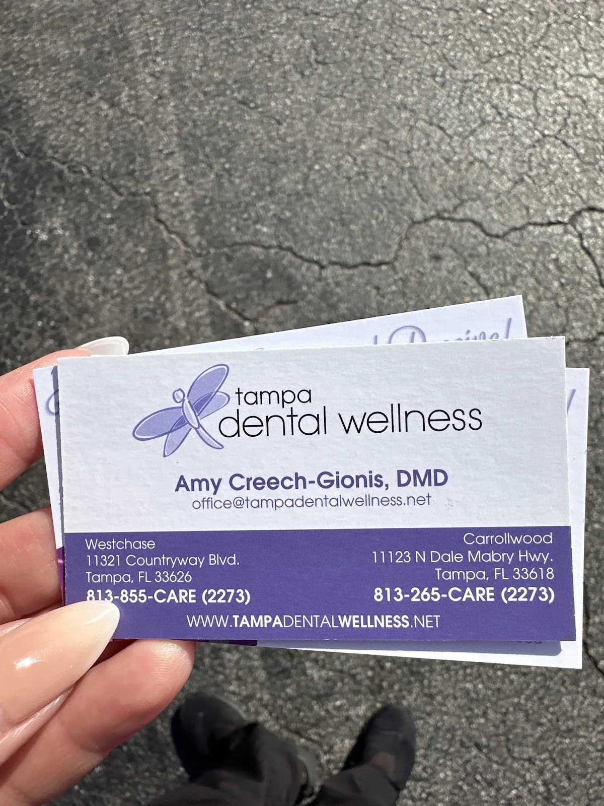 Tampa Dental Wellness of Carrollwood | Restorative, Cosmetic, Dental Implants & General Dentist Tampa photo 2