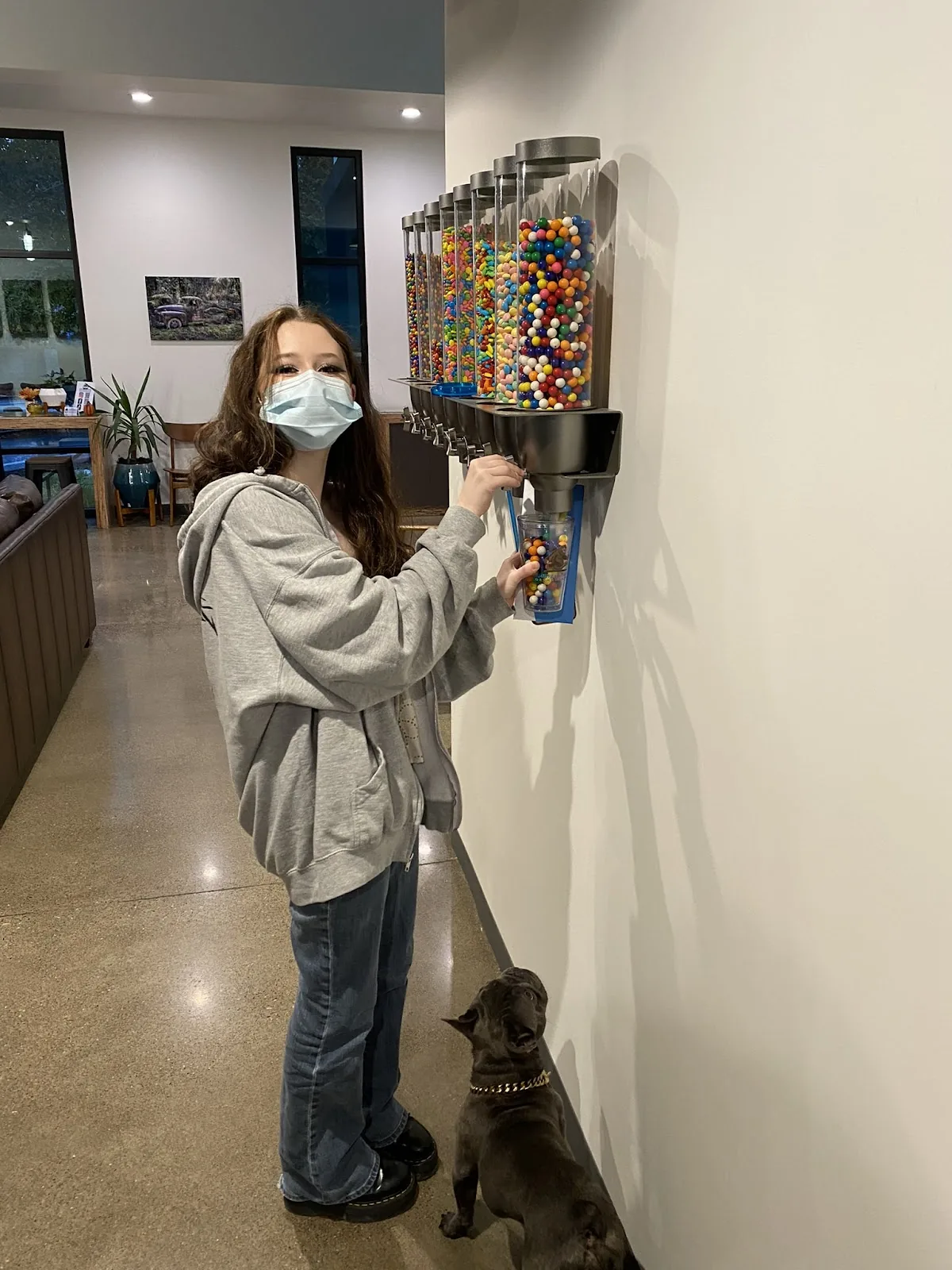 Senestraro Orthodontics - Portland photo 3