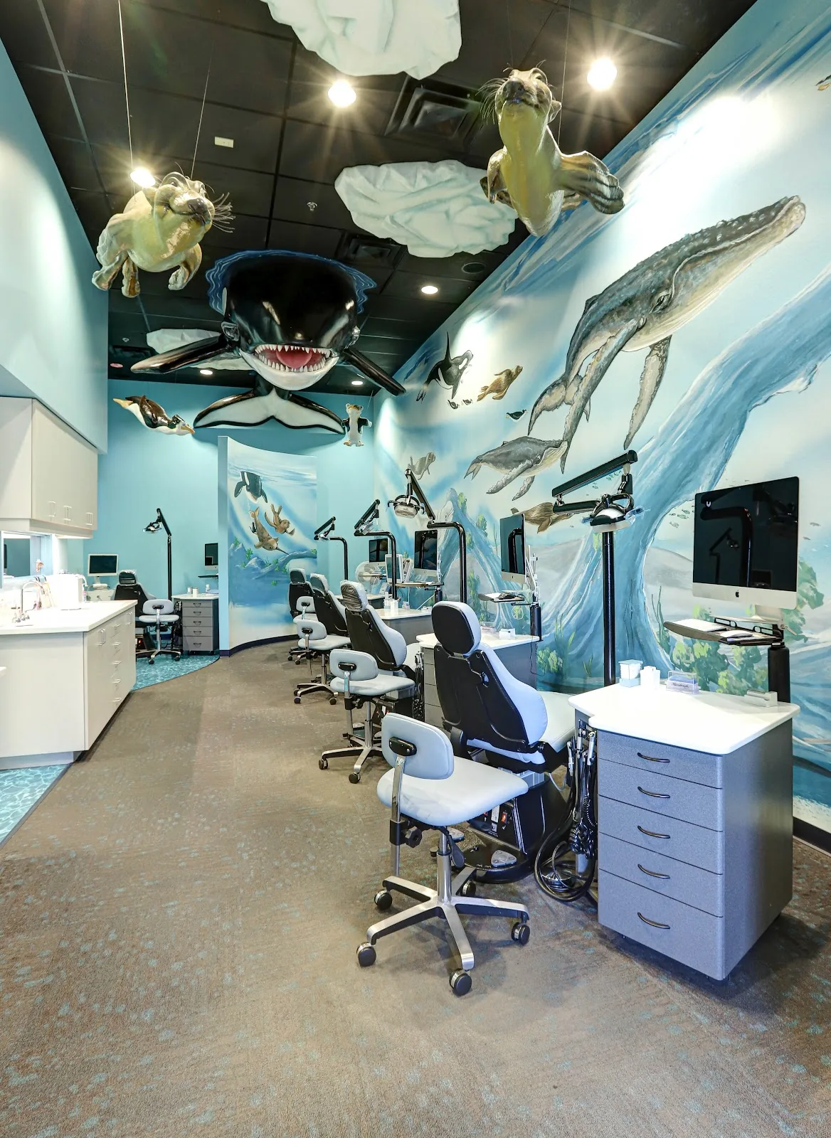 Arctic Smiles Orthodontics photo 2