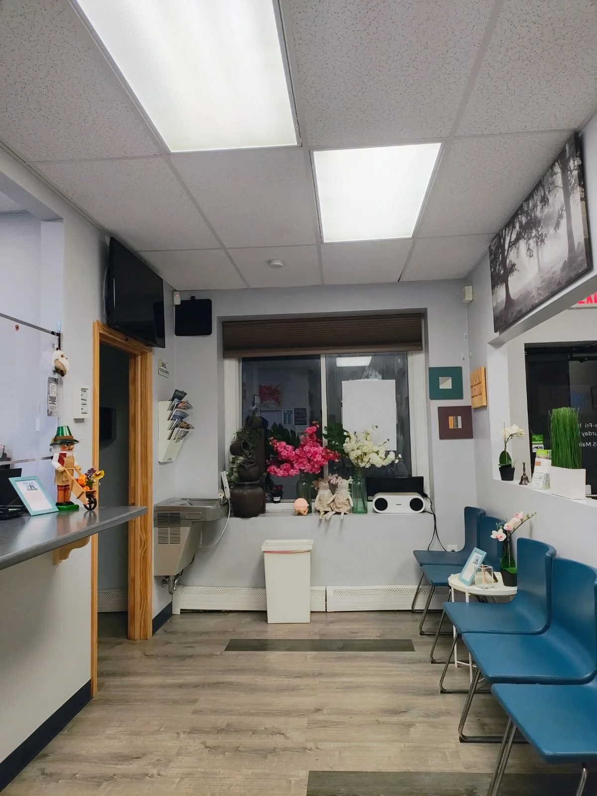 Great Smiles Dental photo 4