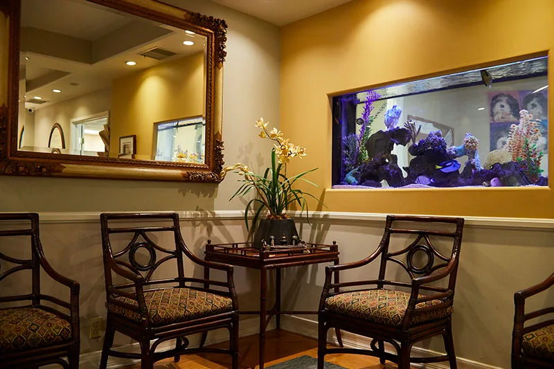 Holistic Dental Wellness Center - Iman Abdeshahian, DMD