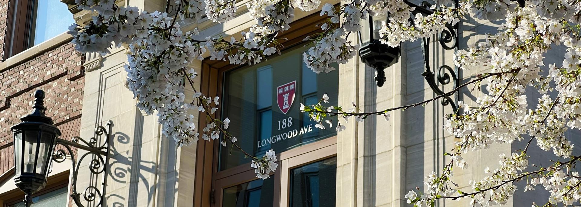 Harvard Dental Center photo 1