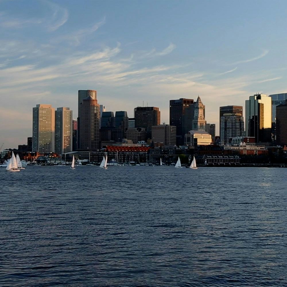 James M. Stein, DMD photo 1