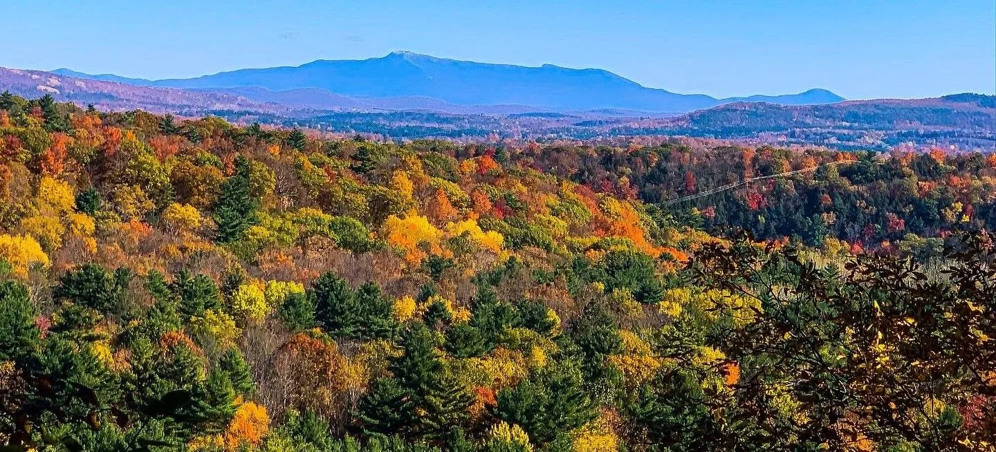 Wendy Everhart D.D.S. & Audra Pinto D.M.D photo 1