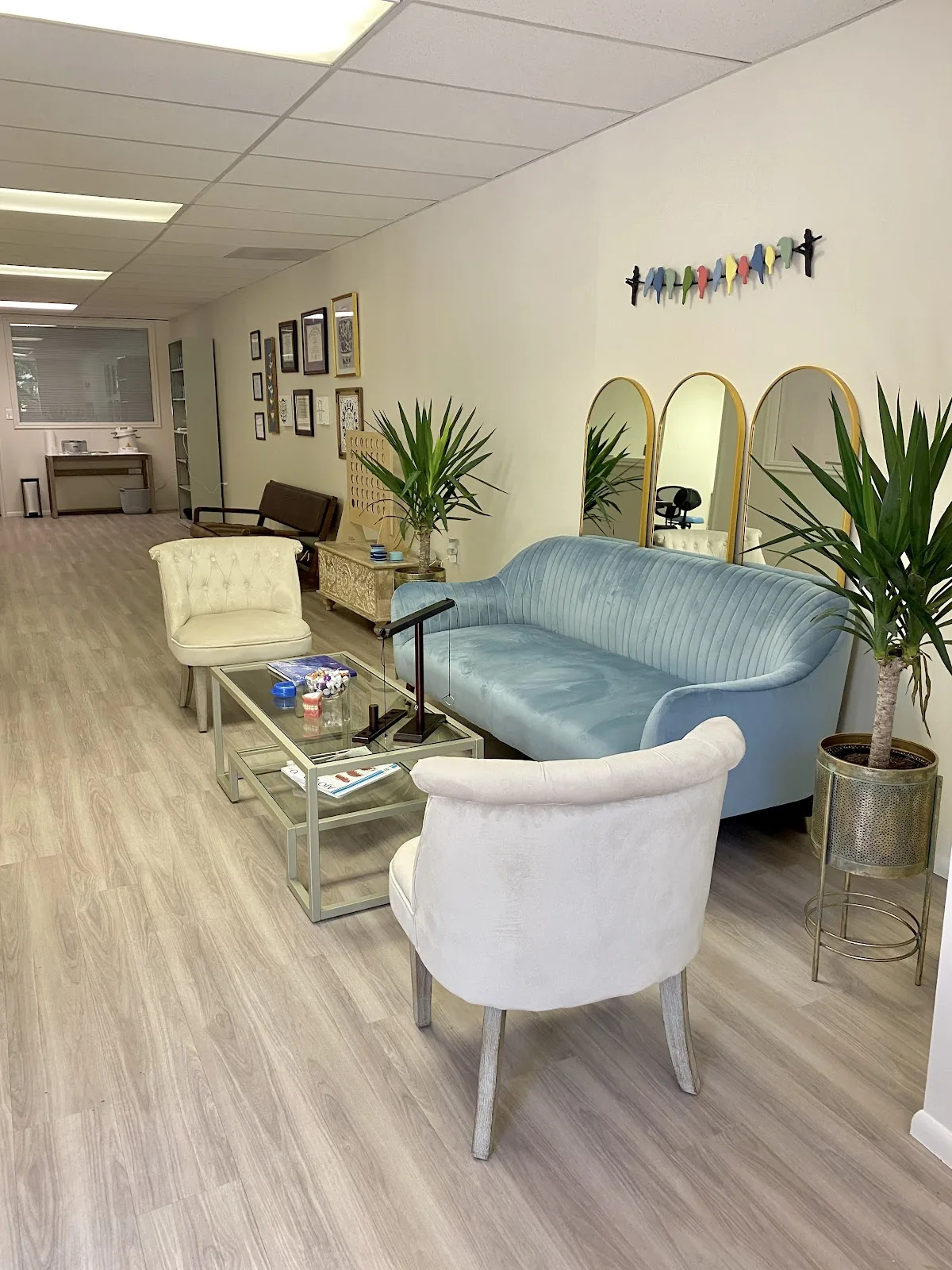 Bluebird Orthodontics photo 2