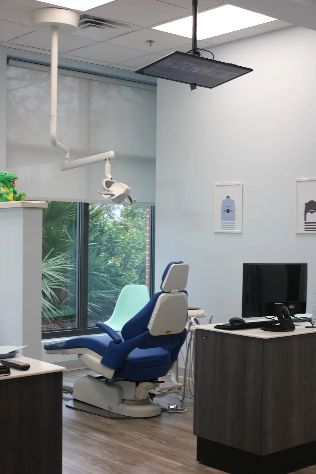 LowCountry Kids Pediatric Dentistry LLC
