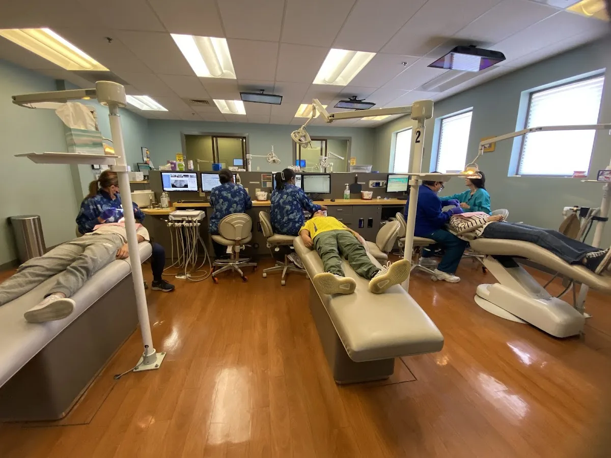 The Dental Ark photo 4