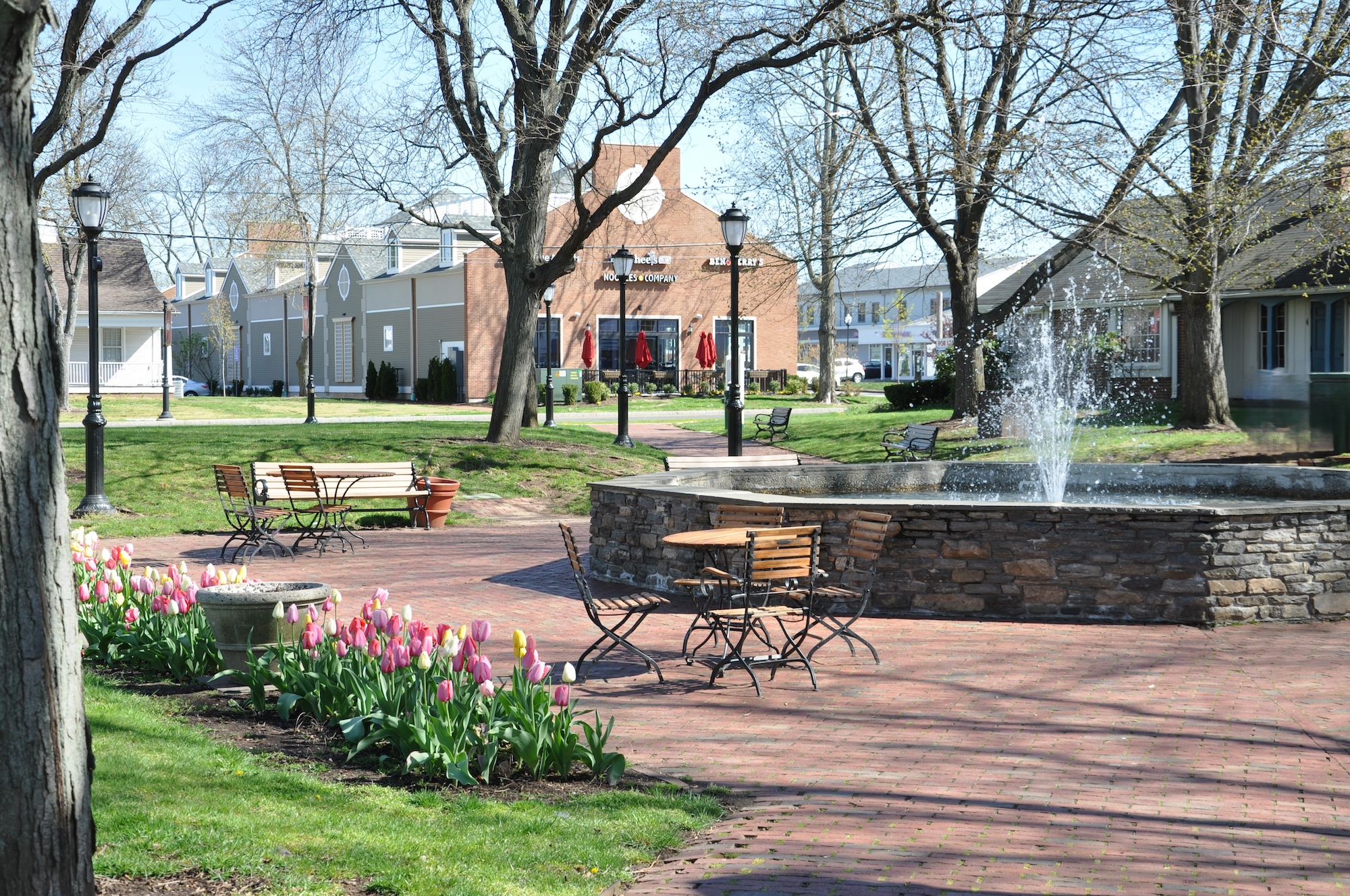 Glastonbury Orthodontics photo 1