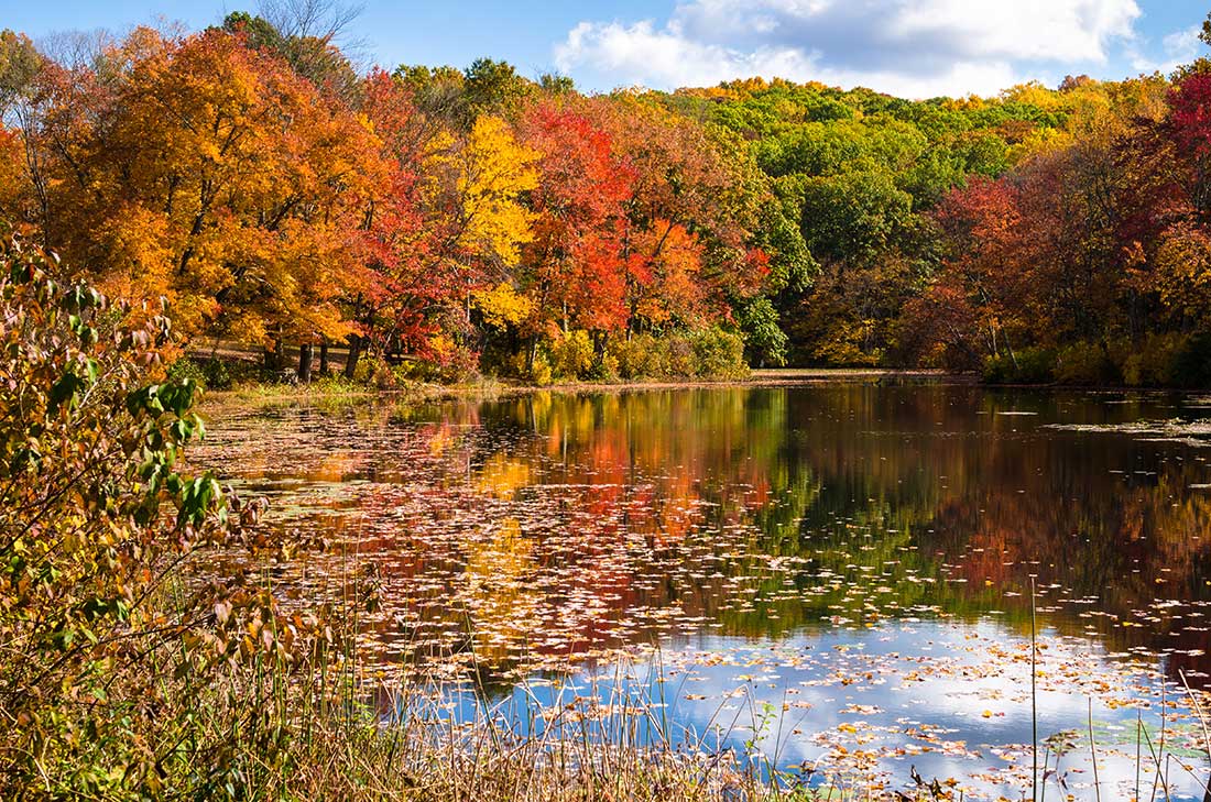 Manchester Family Dental photo 1