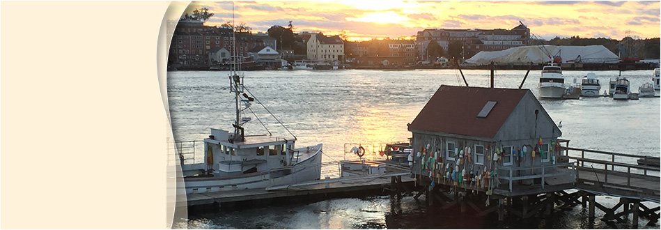 Seacoast Endodontic Associates, P.A. photo 1