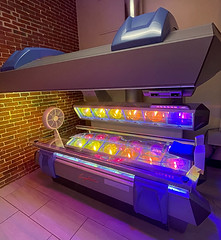 Sun Seekers Tanning photo 1