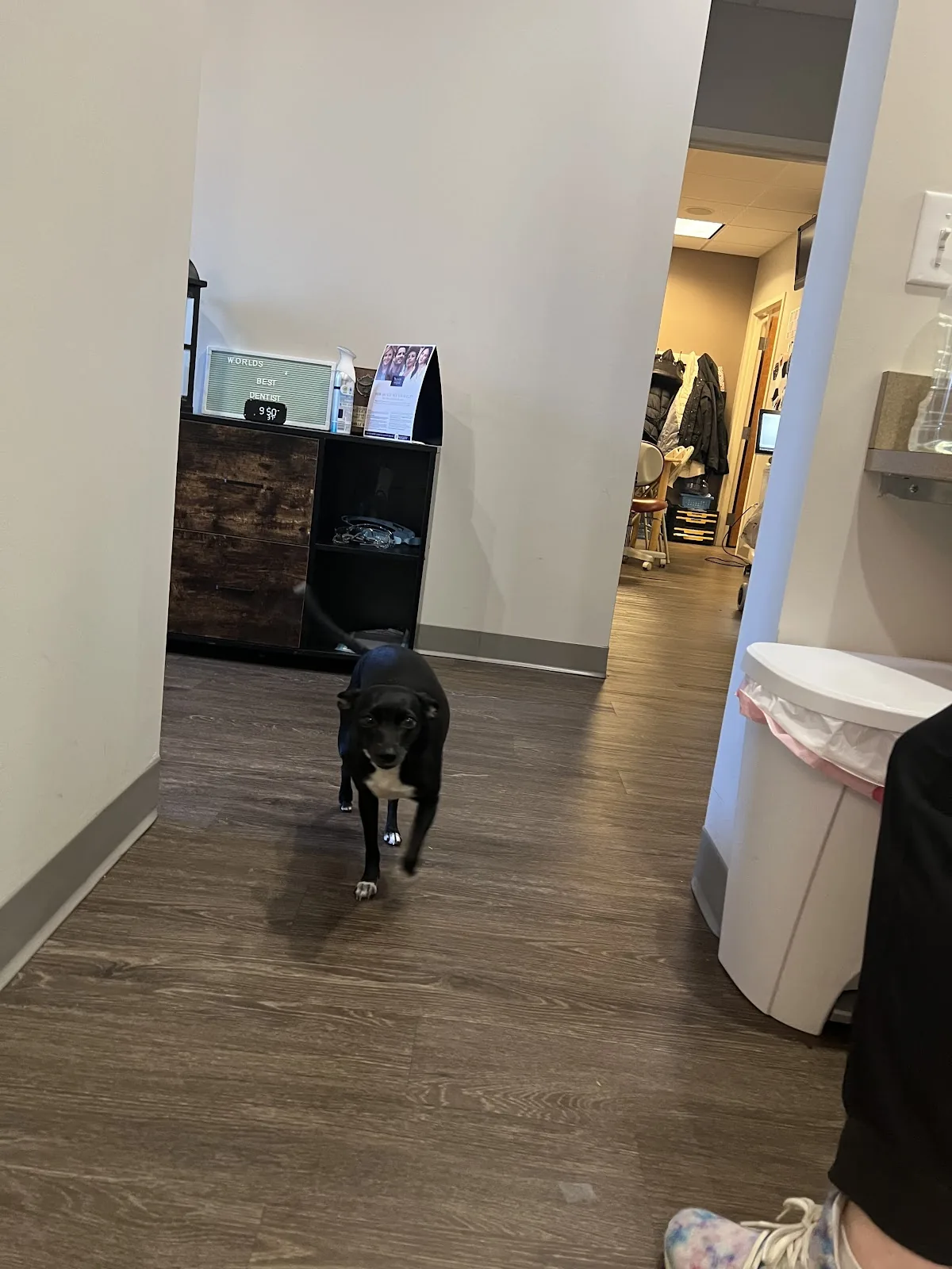 Park Avenue Dental Associates photo 4