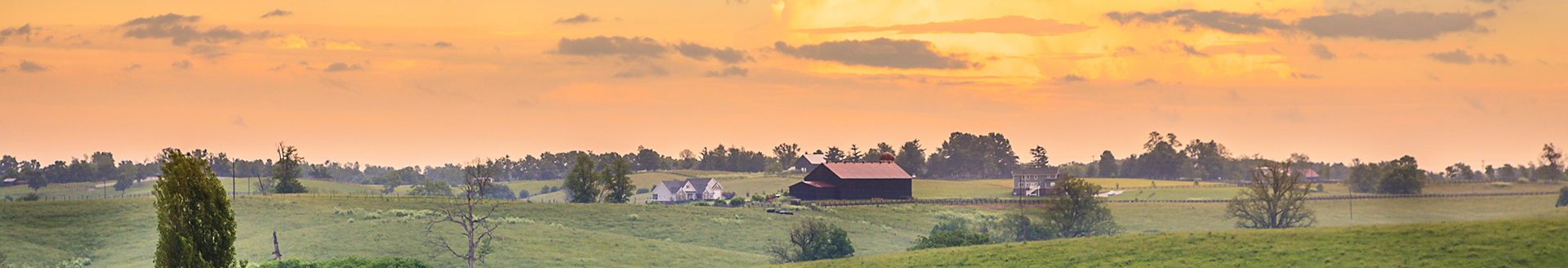 Primo Smiles - Christopher Kerns DMD photo 1