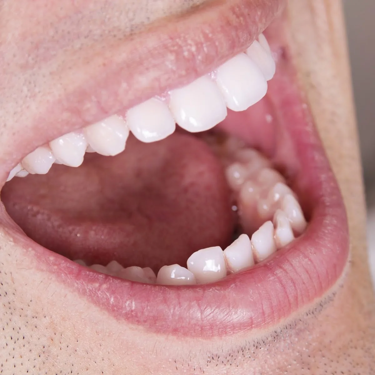 AVM Dentistry photo 2