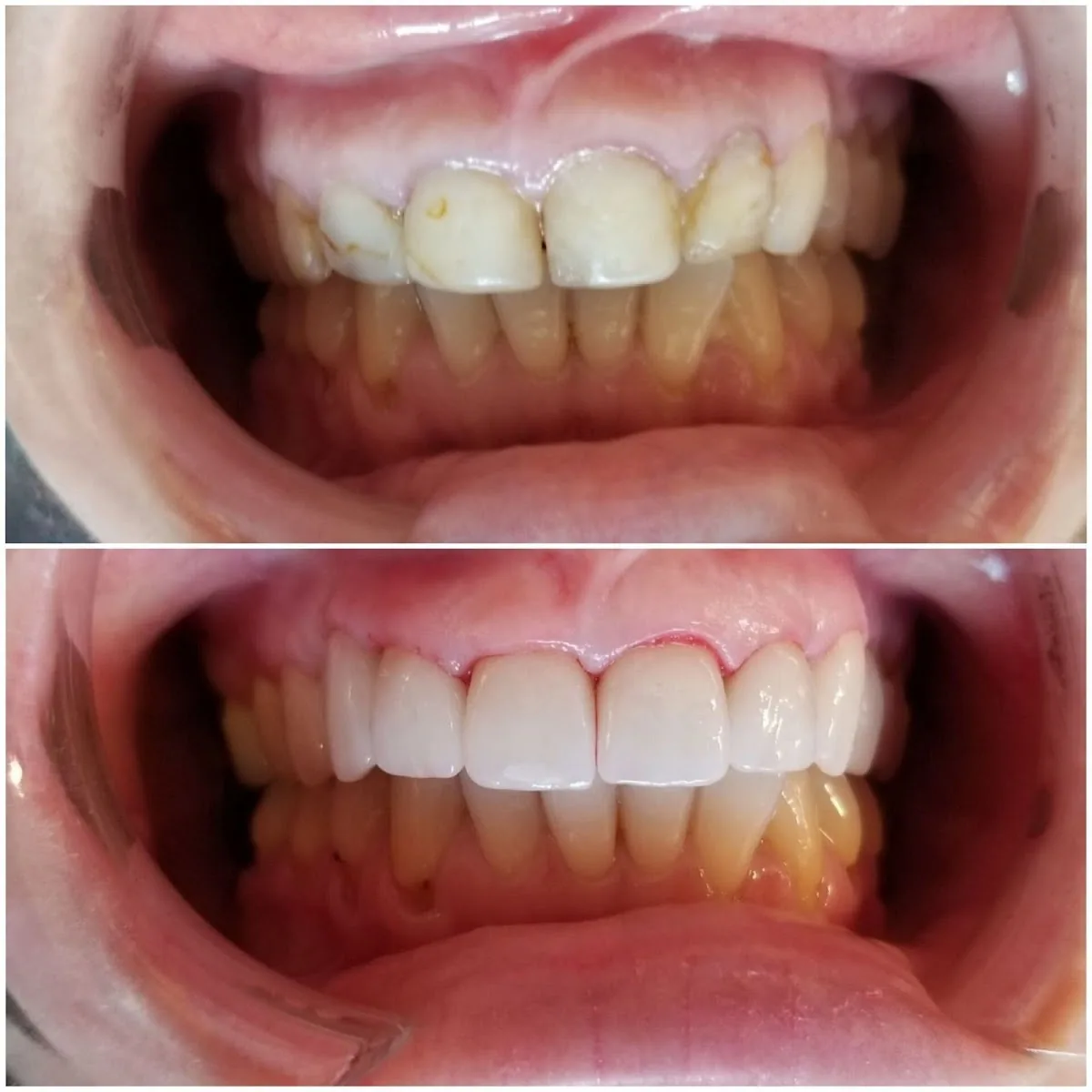 Dr. Dora R. Artiles: Art Dental Clinic photo 3