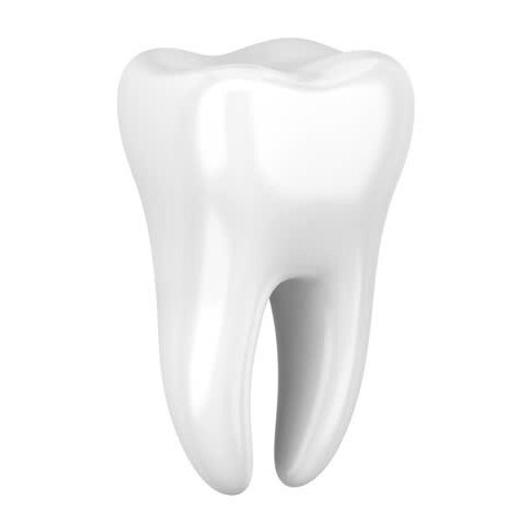 Dr. Edy A. Guerra, DDS photo 3