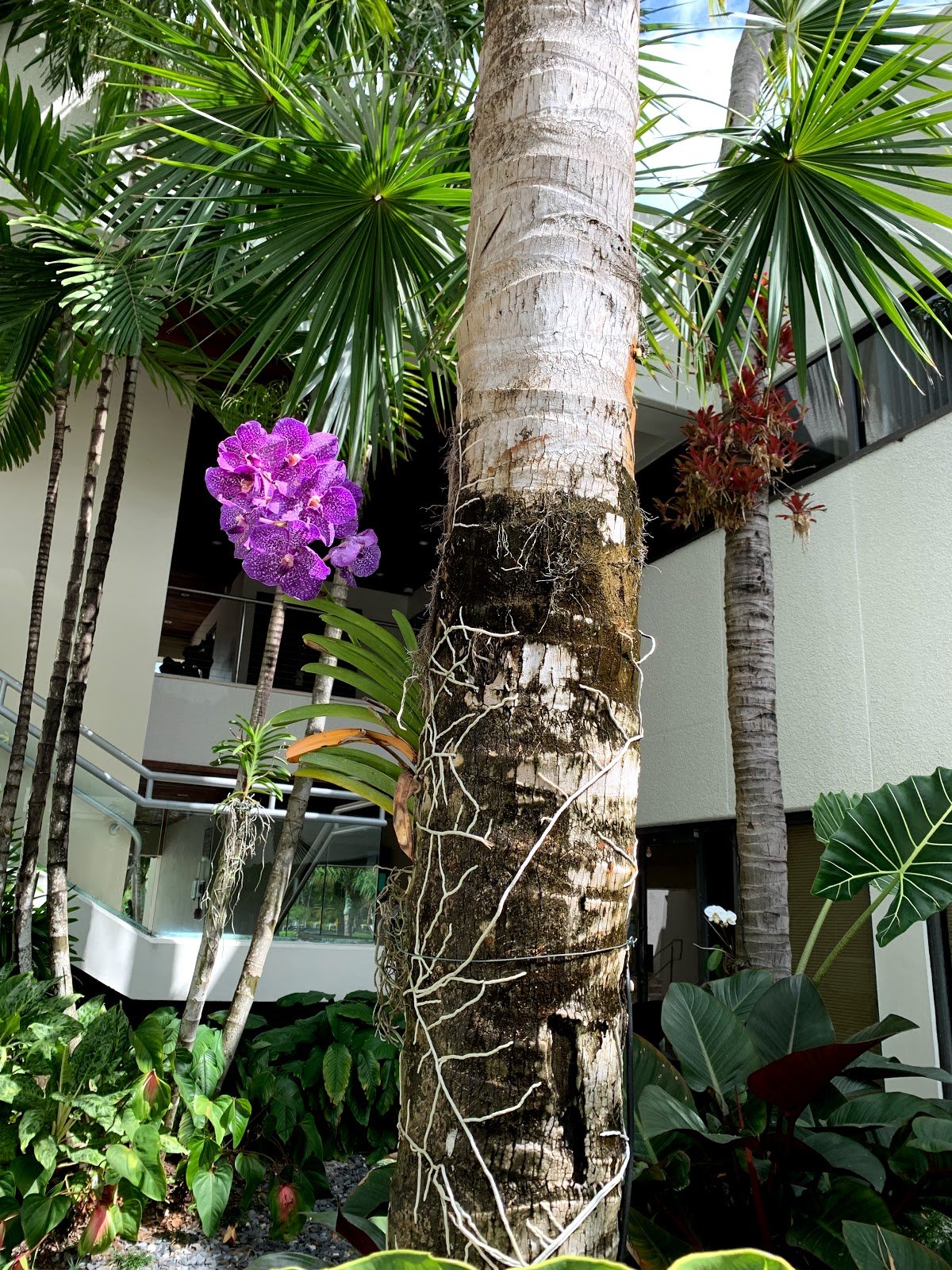 Idalia Lastra, D.M.D. photo 4