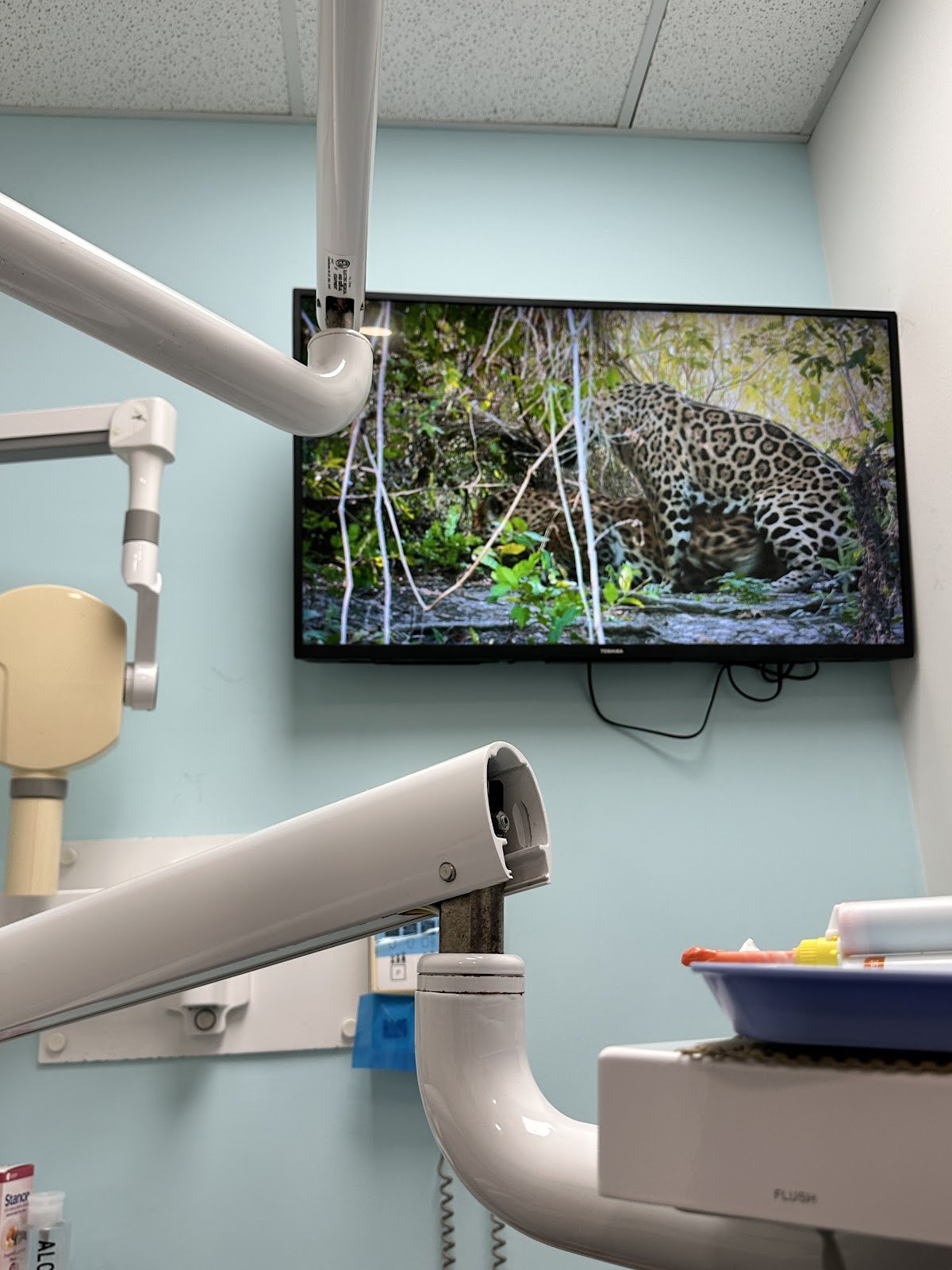 Jamis Juan a DDS photo 4