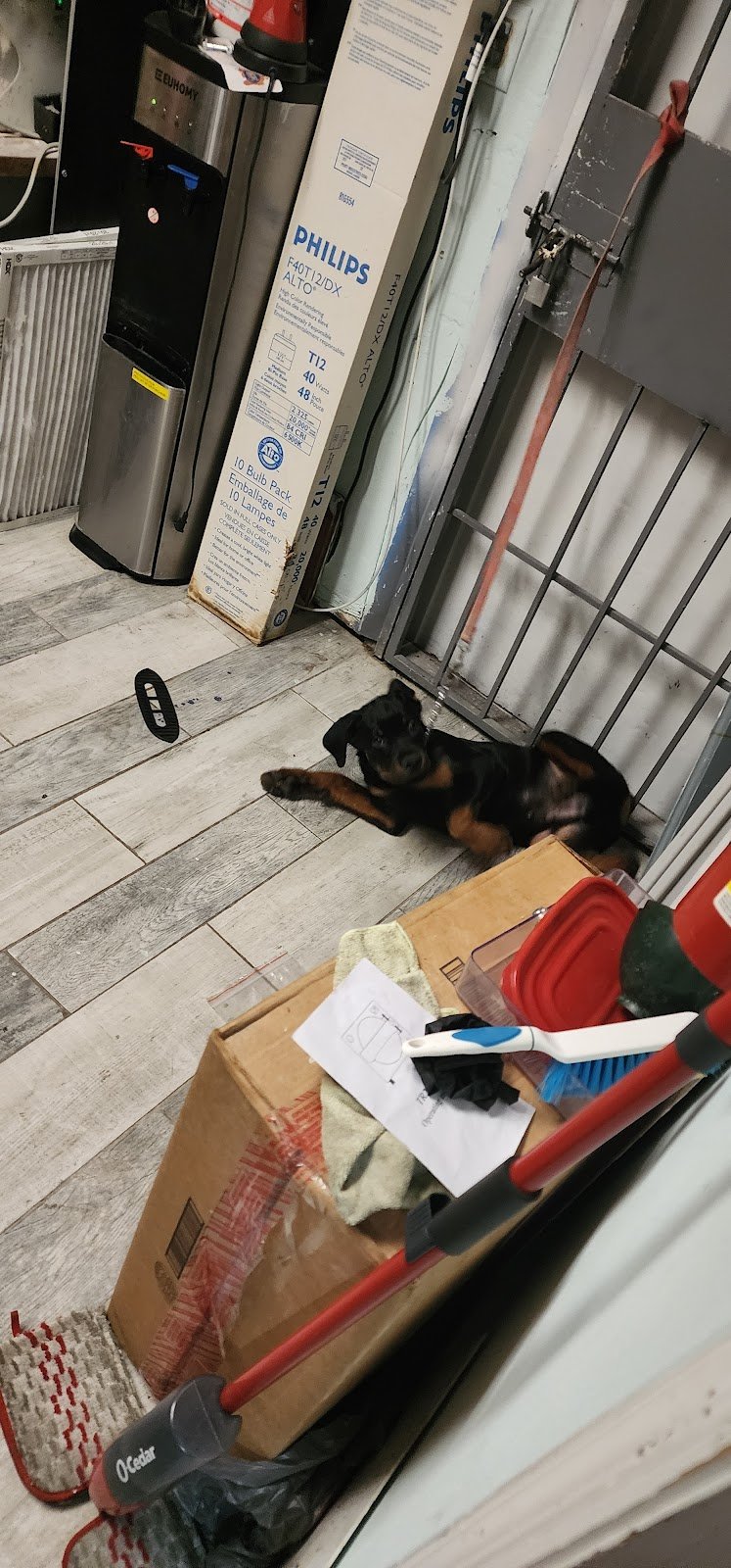 Kleber A Loor Pa photo 5