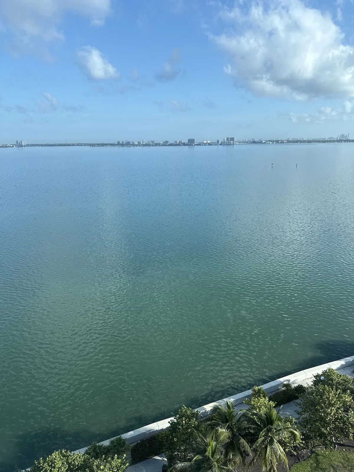 Main Street Children's Dentistry and Orthodontics of Miami Beach photo 5