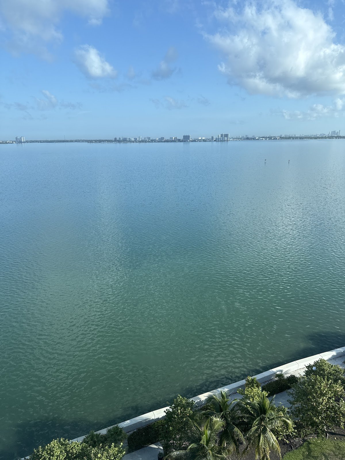 Main Street Children's Dentistry and Orthodontics of Miami Beach photo 5