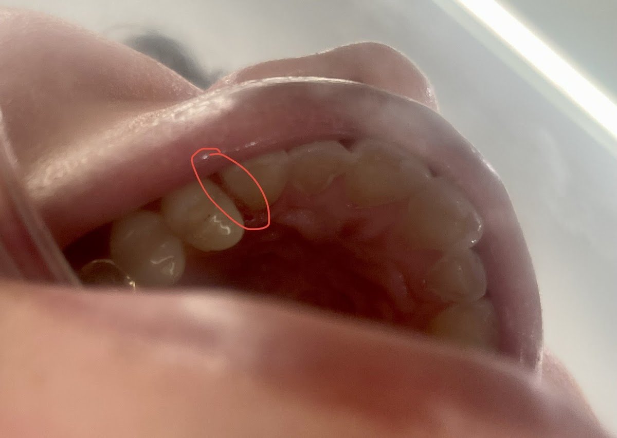 Midtown Dental photo 4