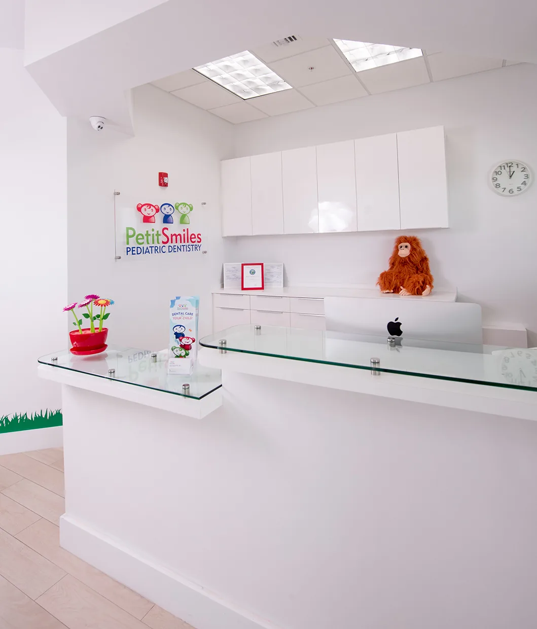Petit Smiles: Pediatric Dentist in Coral Gables photo 5