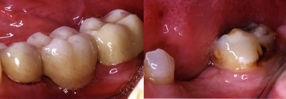 Matt McGee, DDS, PC photo 3