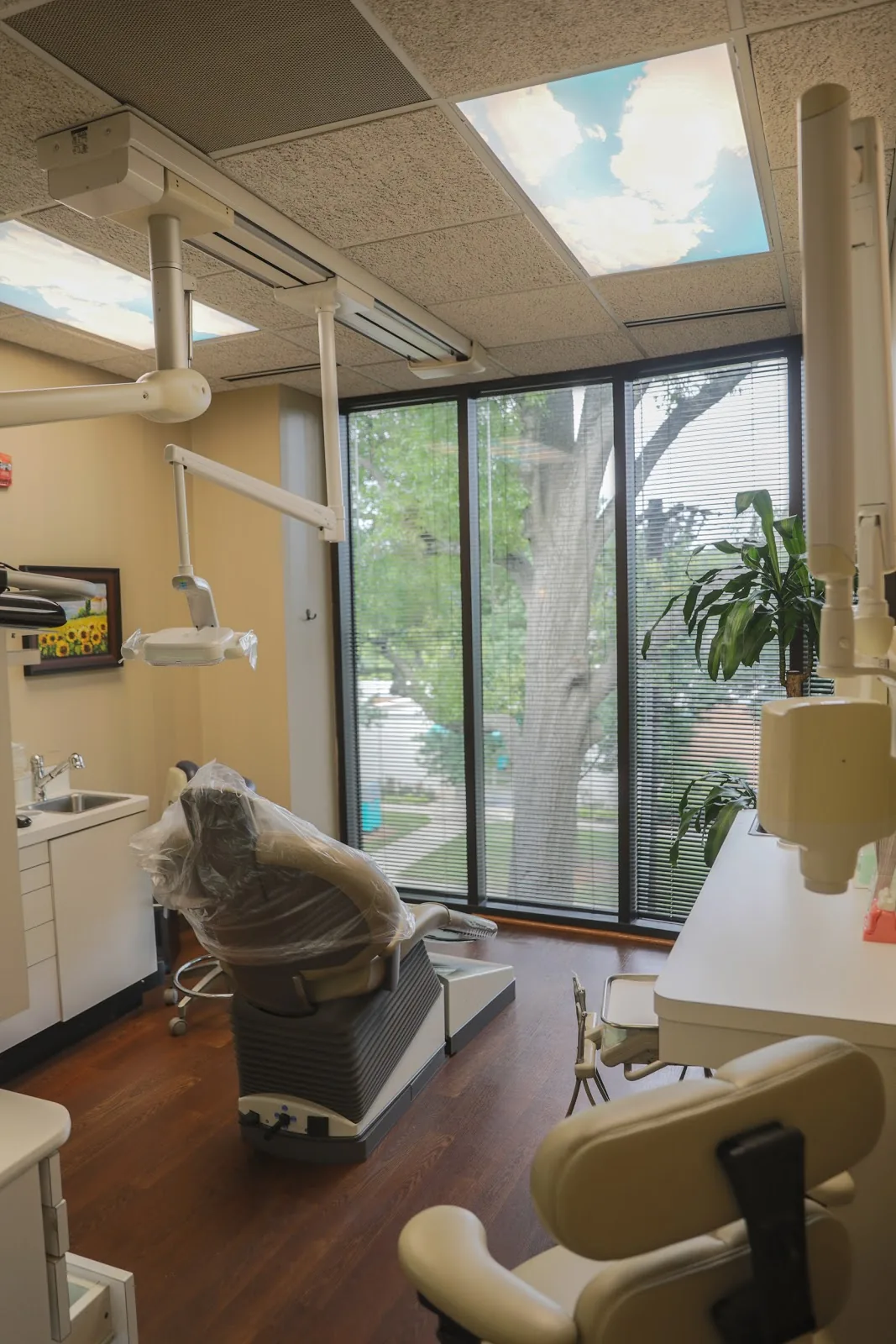 Alexander Rossitch, DDS PA photo 4
