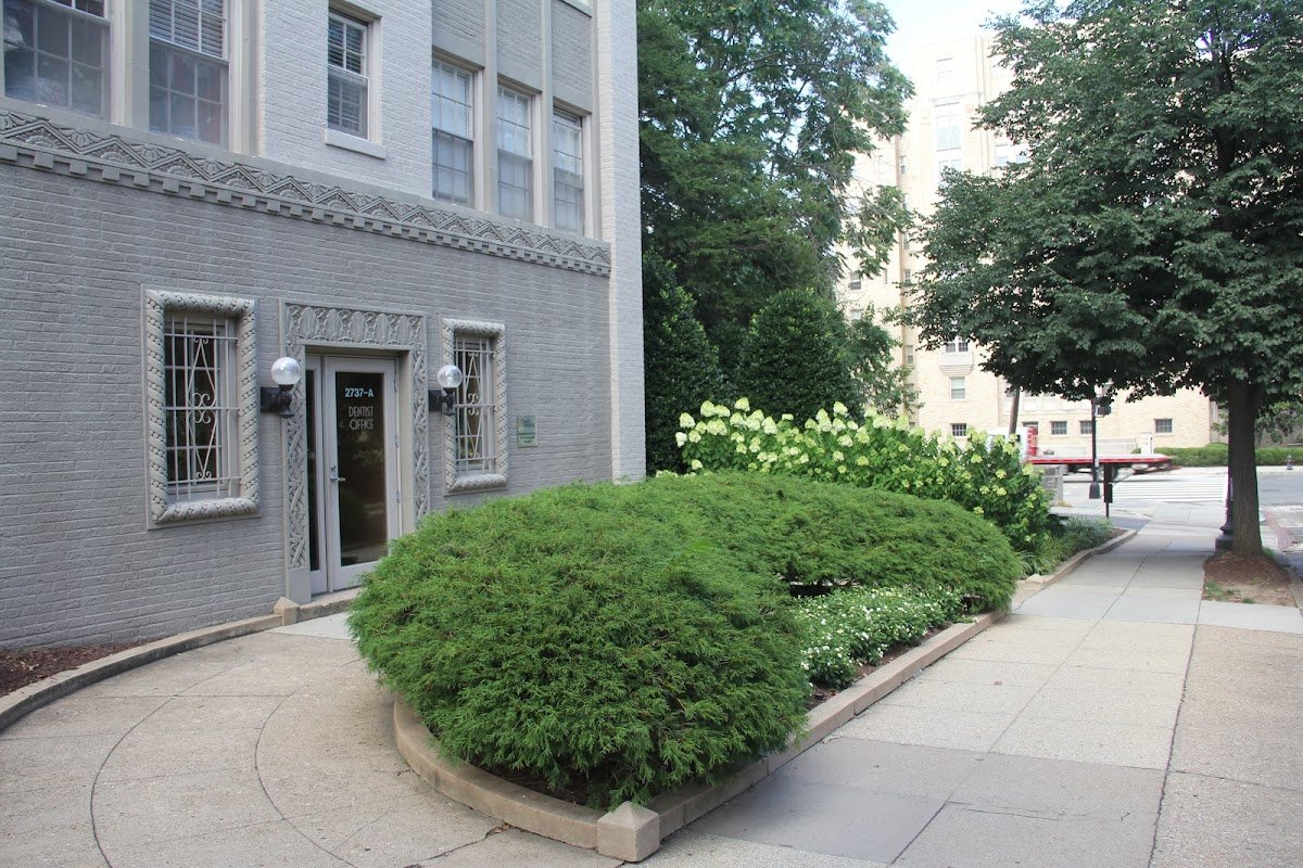 Capital Dental photo 1