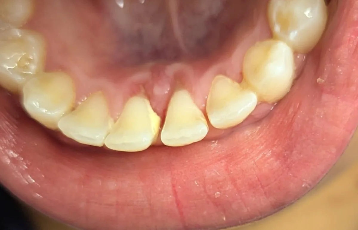 Dental Dreams photo 2
