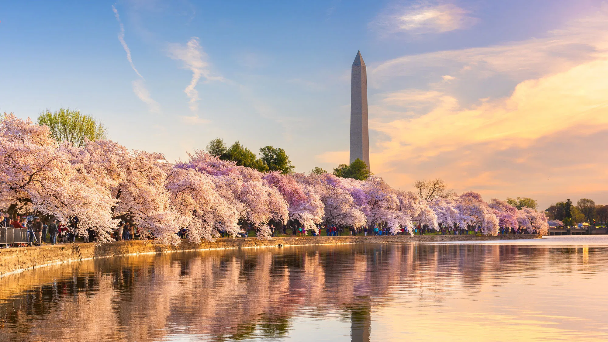West End Dental, PLLC photo 1