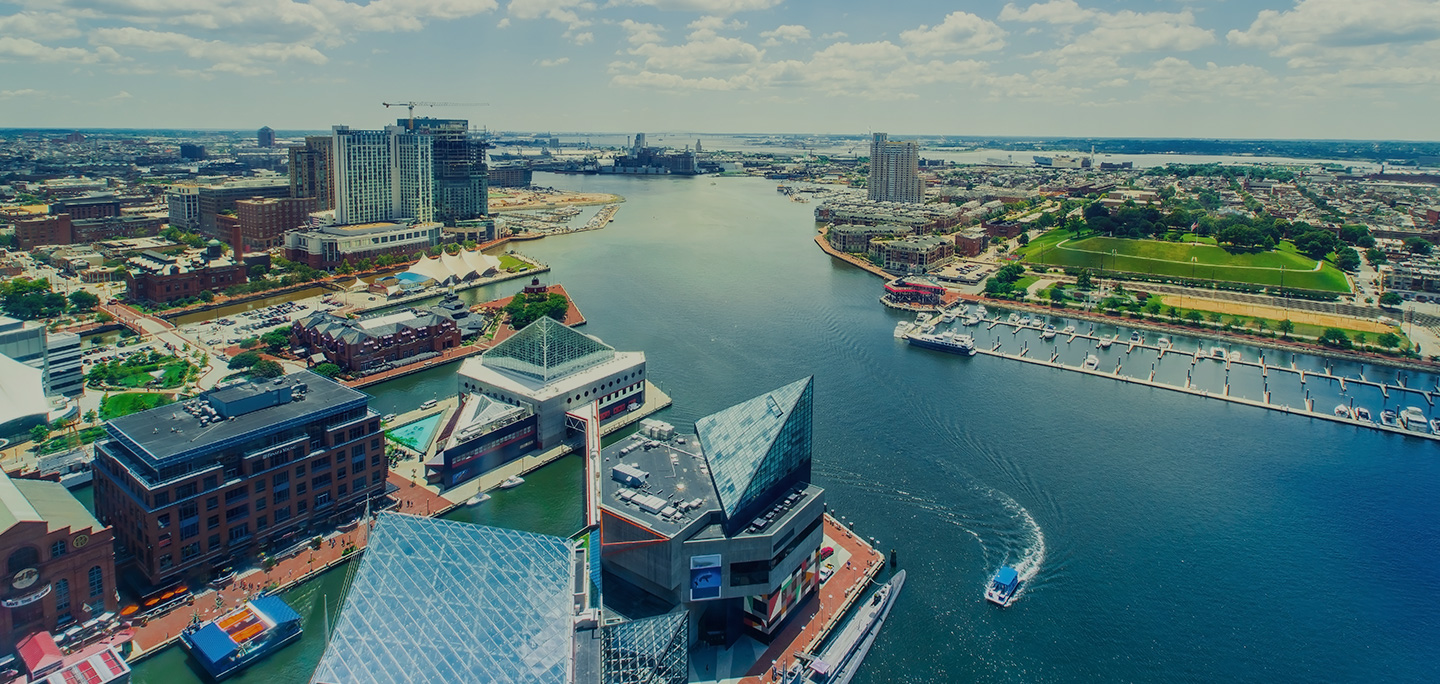 White Marsh Dental Group photo 1