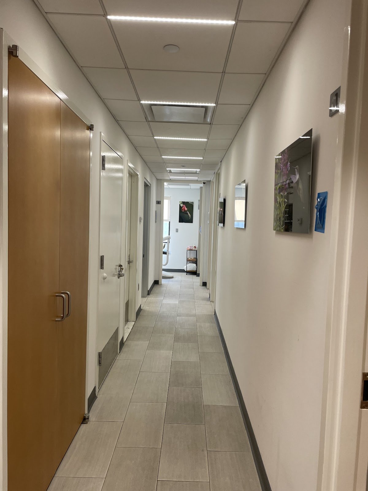 CANAL DENTAL GROUP photo 3