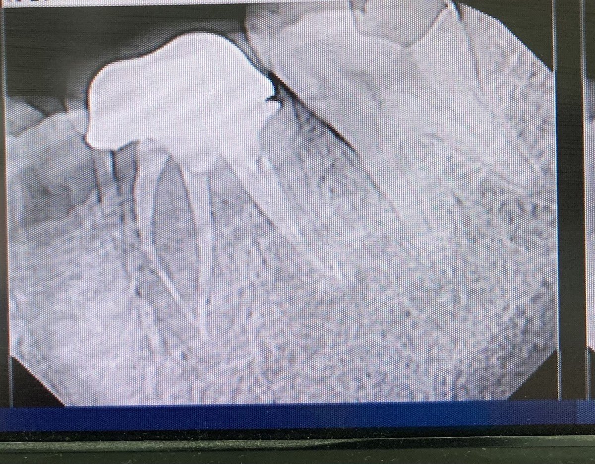 Dental Arts Manhattan photo 2