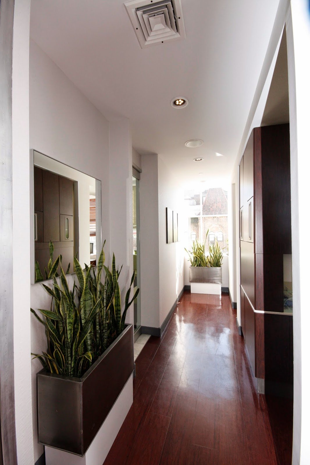 Dental365 CitiDentalGroup photo 5