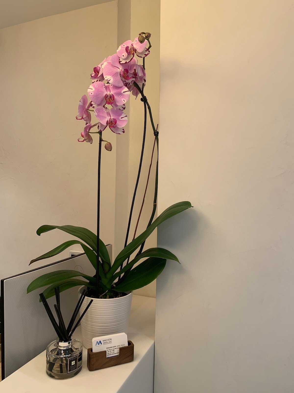 Madison Dental Loft: Yohan Kim, DMD photo 5