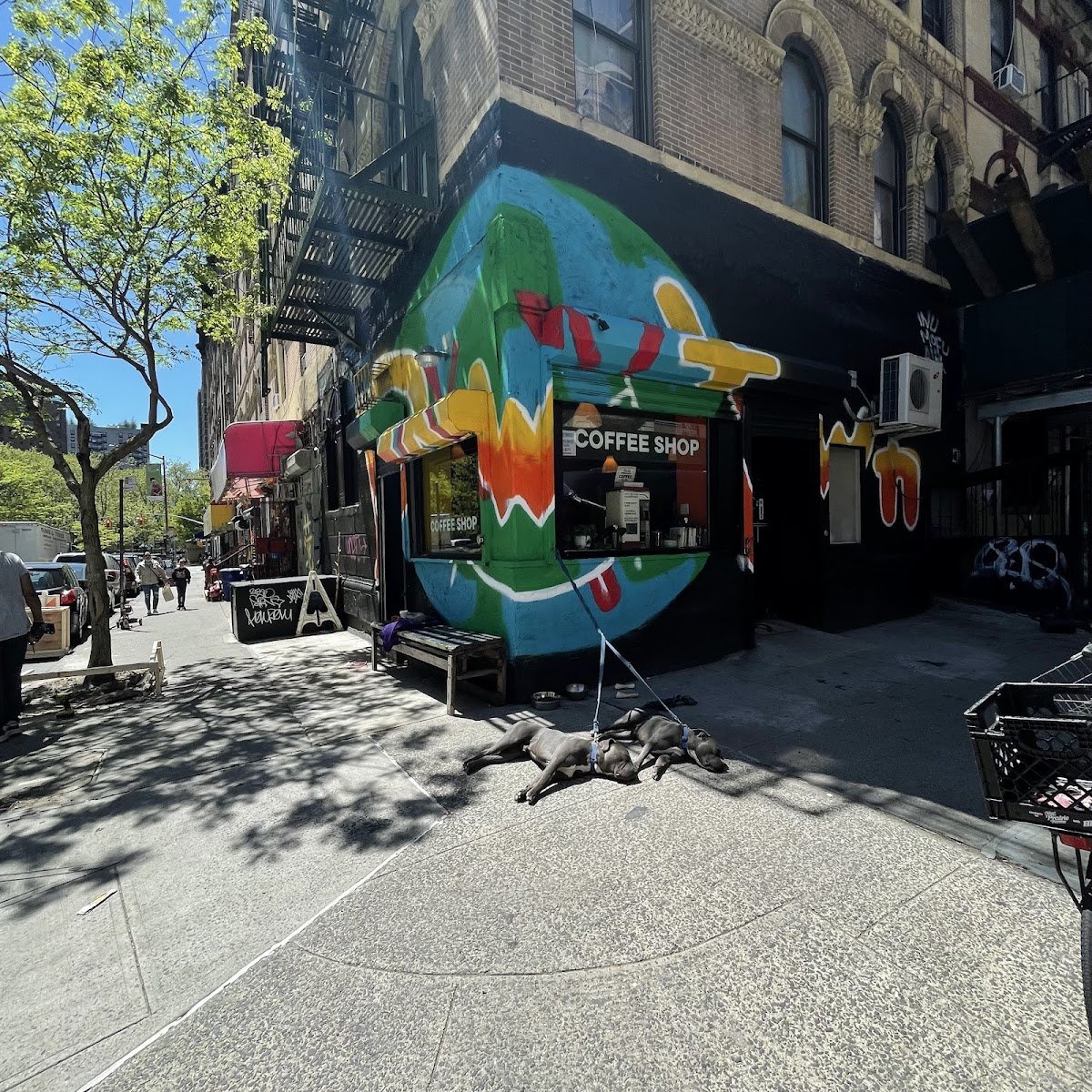 NYC Health + Hospitals/Gotham Health, Gouverneur photo 5